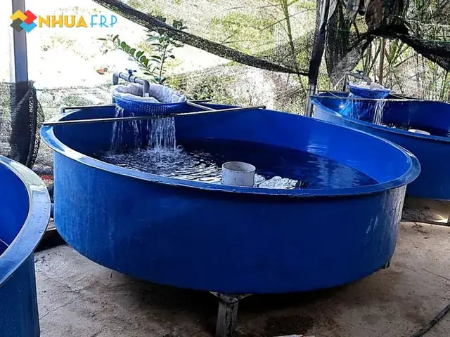 Bể Nuôi Cá Bằng Nhựa: Kích Thước, Chất Liệu & Lựa Chọn Tốt Nhất