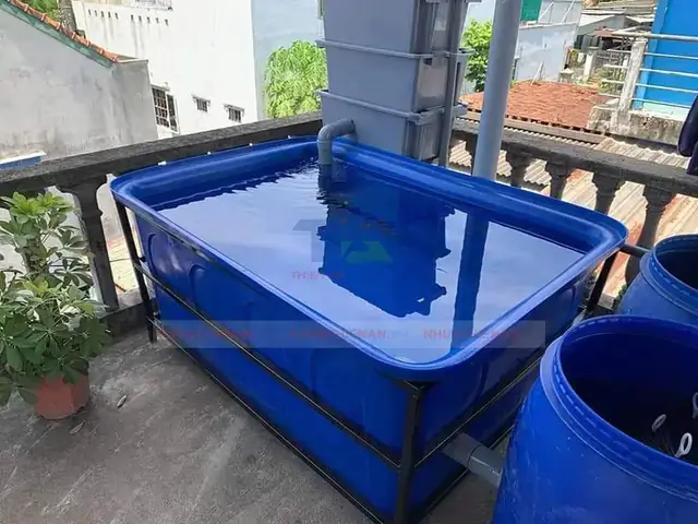 Bể Nuôi Cá Bằng Nhựa: Kích Thước, Chất Liệu & Lựa Chọn Tốt Nhất