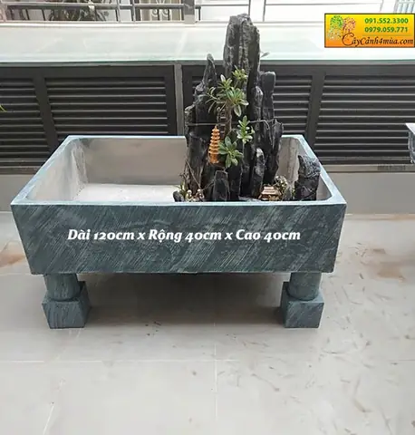 Bể Xi Măng Nuôi Cá Cảnh: Hướng Dẫn Chi Tiết Từ A-z Và Các Loại Cá Phù Hợp