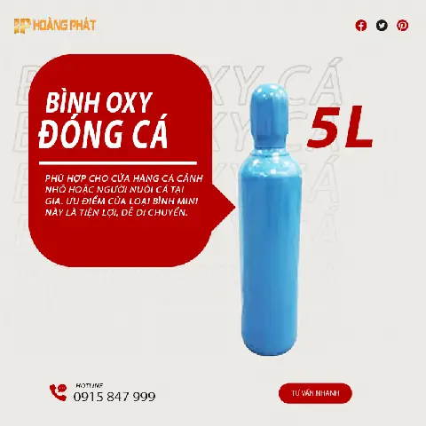 Bình Oxy Cá Cảnh: Hướng Dẫn Chọn Mua, Sử Dụng & Giải Pháp Tối Ưu