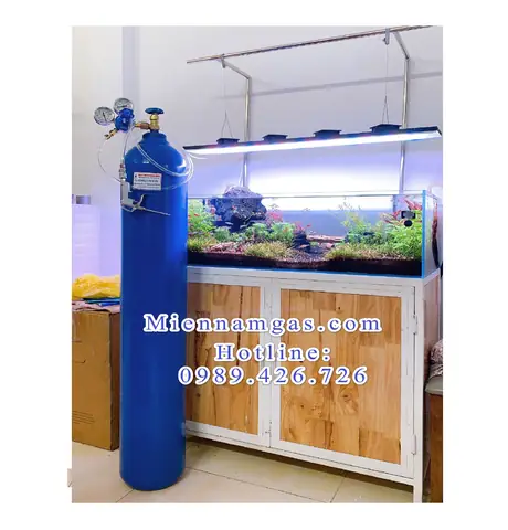 Bình Oxy Cá Cảnh: Hướng Dẫn Chọn Mua, Sử Dụng & Giải Pháp Tối Ưu