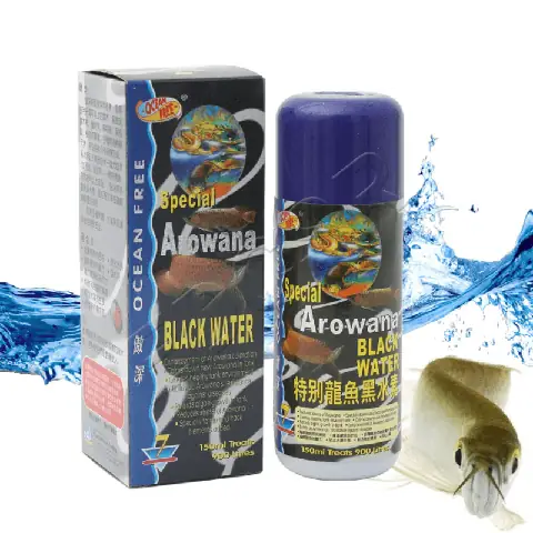 Black Water Cá Rồng: Hướng Dẫn Chi Tiết Từ A-z & Sản Phẩm Tốt Nhất