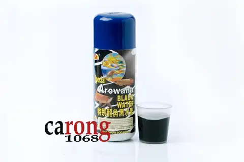 Black Water Cá Rồng: Hướng Dẫn Chi Tiết Từ A-z & Sản Phẩm Tốt Nhất
