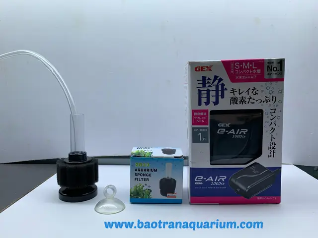 Máy Sủi Oxy Hồ Cá: Hướng Dẫn Chọn Mua & Lợi Ích Chi Tiết Máy Sủi Oxy Hồ Cá: Hướng Dẫn Chọn Mua & Lợi Ích Chi Tiết