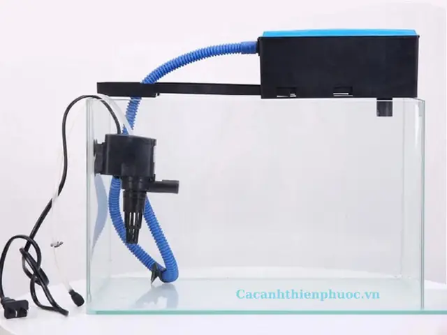 Máy Sủi Oxy Hồ Cá: Hướng Dẫn Chọn Mua & Lợi Ích Chi Tiết Máy Sủi Oxy Hồ Cá: Hướng Dẫn Chọn Mua & Lợi Ích Chi Tiết