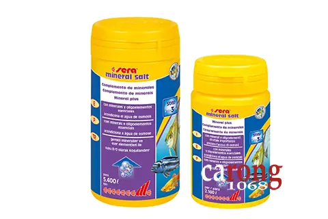 Cách Bổ Sung Canxi Cho Cá Cảnh Đúng Cách & Hiệu Quả
