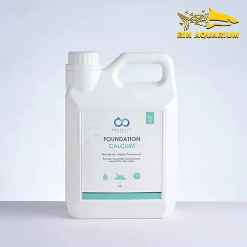 Cách Bổ Sung Canxi Cho Cá Cảnh Đúng Cách & Hiệu Quả