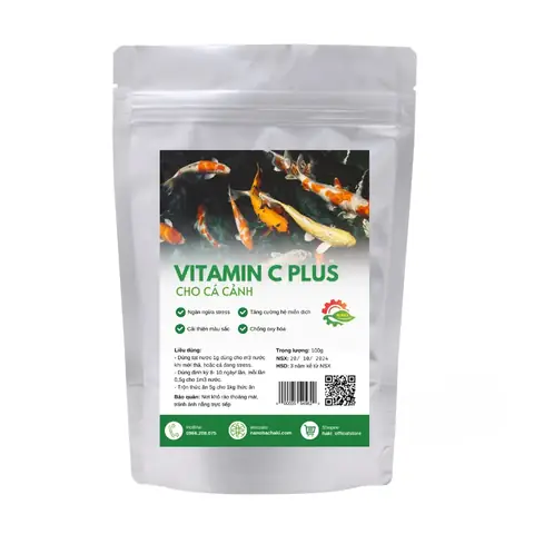 Bổ Sung Vitamin C Cho Cá Cảnh: Tăng Đề Kháng, Giảm Stress Đúng Cách