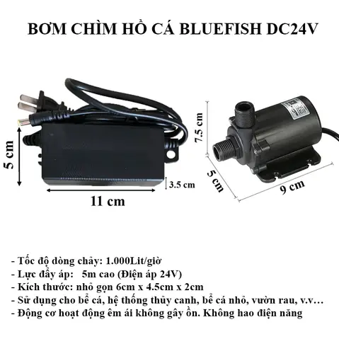 Bơm Bể Cá 24v: An Toàn, Tiết Kiệm Điện Và Các Dòng Máy Phổ Biến Nhất