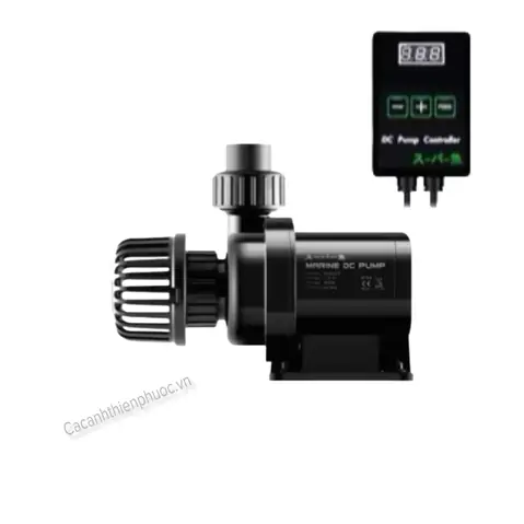 Bơm Bể Cá 24v: An Toàn, Tiết Kiệm Điện Và Các Dòng Máy Phổ Biến Nhất