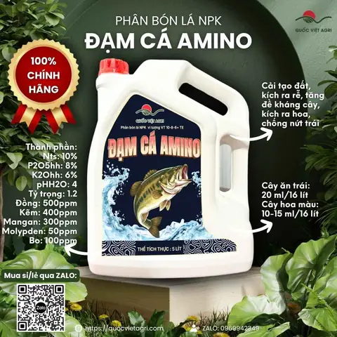 Hướng Dẫn Bón Đạm Cho Ao Cá: Tăng Năng Suất Nuôi Hiệu Quả Và Bền Vững