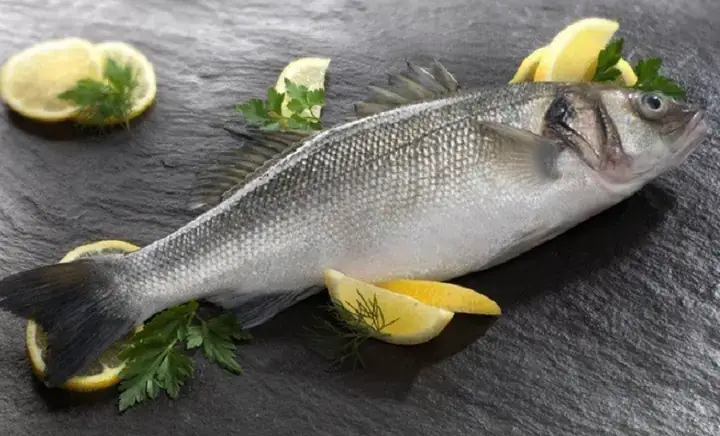 Cá Barramundi Là Cá Gì? Tìm Hiểu Về Loài Cá Chẽm Phổ Biến Thế Giới Cá Barramundi Là Cá Gì? Tìm Hiểu Về Loài Cá Chẽm Phổ Biến Thế Giới