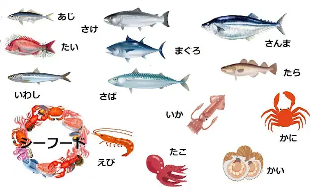 Cá Biển: Danh Sách Loài Đại Diện Ngon & Đặc Điểm Nổi Bật