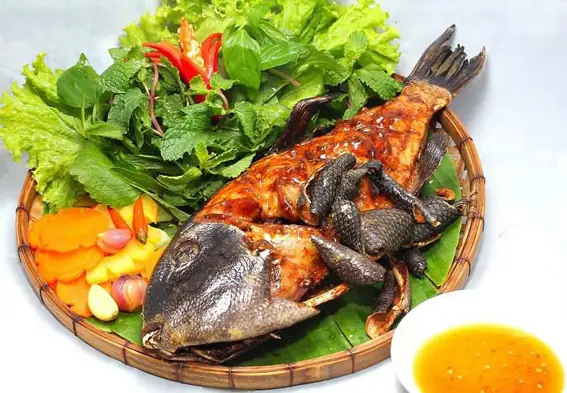 Cá Bò Giáp Côn Đảo: Đặc Điểm, Giá Bán Và Món Ngon Hấp Dẫn