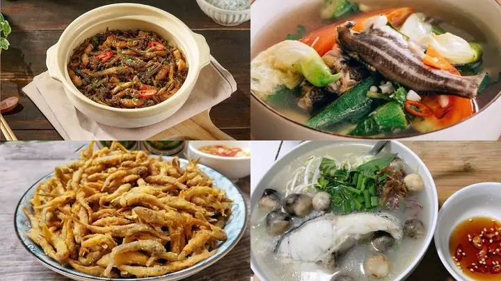 Cá Bống Ăn Gì? Khám Phá Các Loại Thức Ăn & Lợi Ích Dinh Dưỡng