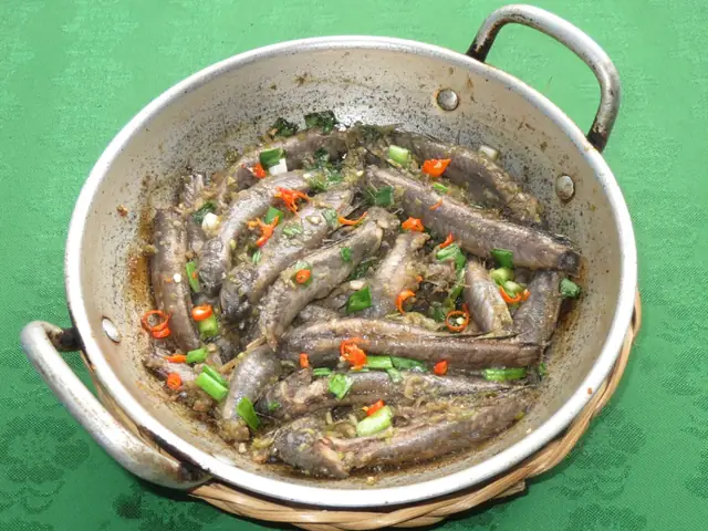 Cá Bống Sao Và Cá Thòi Lòi: Phân Biệt, Đặc Điểm Và Sự Khác Nhau