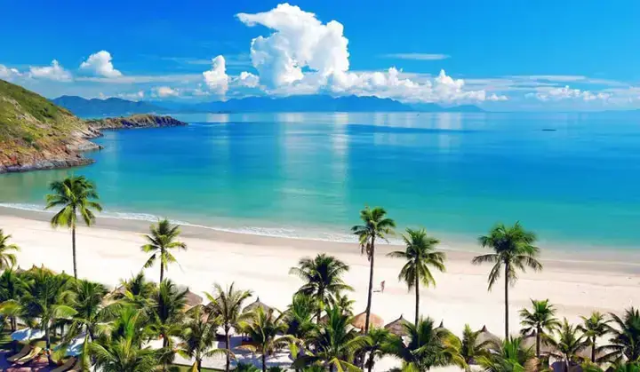 Cá Cảnh Biển Nha Trang: Địa Điểm Mua & Kinh Nghiệm Nuôi Thuần