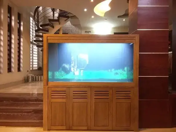 Đông Anh Aqua: Cửa Hàng Cá Cảnh Uy Tín Tại Đông Anh, Hà Nội