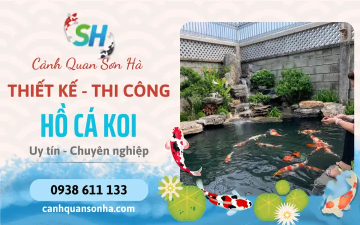 Cá Cảnh Sơn Hà: Cửa Hàng Uy Tín, Giá Tốt Và Địa Chỉ Mua Sắm