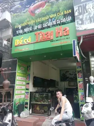 Cá Cảnh Thái Hà: Địa Chỉ Mua Cá & Phụ Kiện Uy Tín Tại Hà Nội