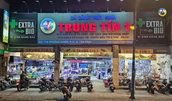 Cá Cảnh Thủy Sinh Trung Tín: Địa Chỉ, Sản Phẩm & Dịch Vụ Uy Tín Tại Trường Chinh