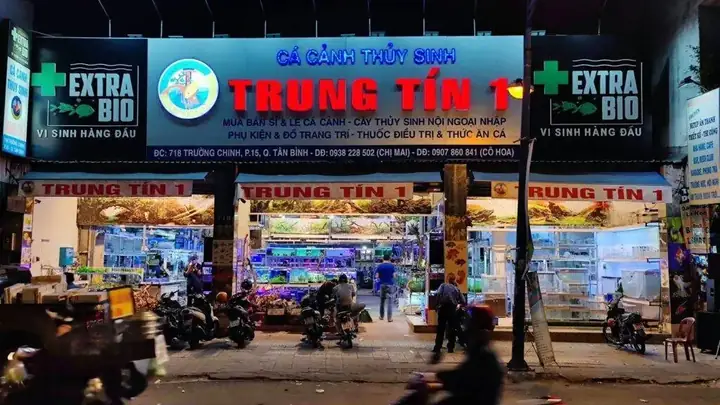 Cá Cảnh Thủy Sinh Trung Tín: Địa Chỉ, Sản Phẩm & Dịch Vụ Uy Tín Tại Trường Chinh