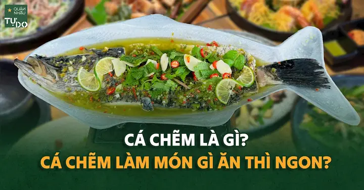 Cá Chẽm Là Cá Gì? Đặc Điểm, Phân Loại Và Môi Trường Sống