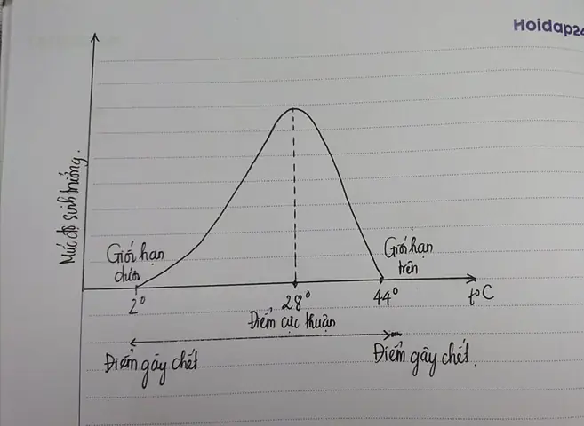 Cá Chép Chịu Được Nhiệt Độ Bao Nhiêu? Giới Hạn Chịu Đựng Của Cá Chép Là Gì?