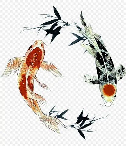 Cá Chép Trung Quốc: Đặc Điểm, Giống Mới Và Ứng Dụng Thực Tế Cá Chép Trung Quốc: Đặc Điểm, Giống Mới Và Ứng Dụng Thực Tế
