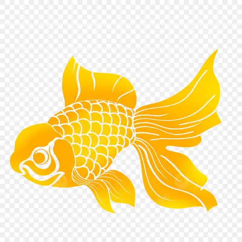 Tải Miễn Phí Hình Ảnh Cá Chép Vàng Png Chất Lượng Cao | Vector & Minh Họa