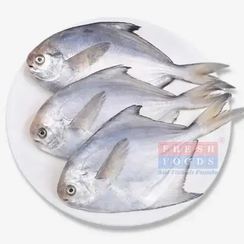 Bảng Giá Cá Chim Trắng: Cập Nhật Mới Nhất & Thông Tin Chi Tiết 2024