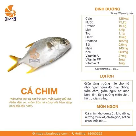 Bảng Giá Cá Chim Trắng: Cập Nhật Mới Nhất & Thông Tin Chi Tiết 2024