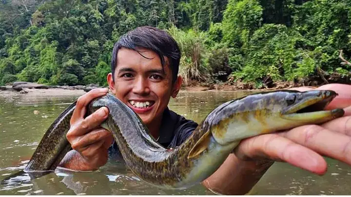 Cá Chình Và Lươn: Phân Biệt, Dinh Dưỡng Và Món Ăn Ngon