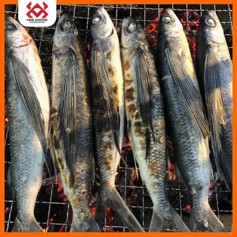 Cá Chuồn: Đặc Điểm, Dinh Dưỡng Và Cách Chế Biến Món Ngon
