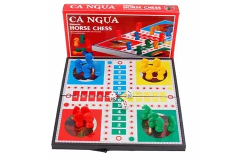 Cá Cờ Tiếng Anh Là Gì? Các Thuật Ngữ Liên Quan Và Ý Nghĩa