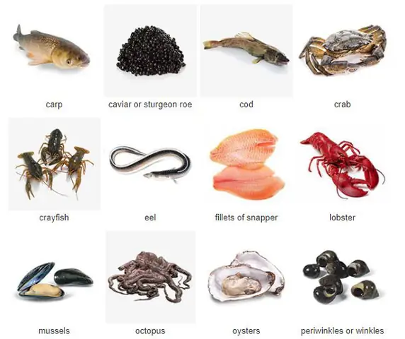Cá Da Trơn Tiếng Anh Là Gì? Catfish & Các Thuật Ngữ Liên Quan Cá Da Trơn Tiếng Anh Là Gì? Catfish & Các Thuật Ngữ Liên Quan