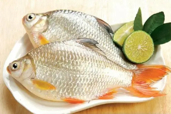 Cá Diếc Miền Nam Gọi Là Cá Gì? Tên Gọi, Đặc Điểm & Món Ngon
