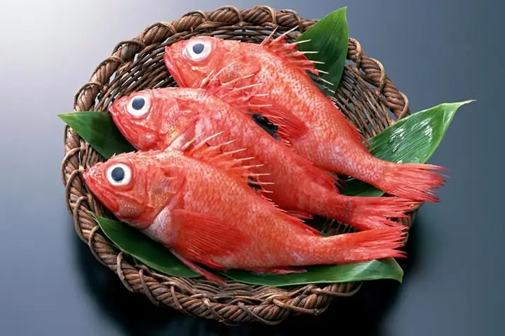 Cá Đỏ Là Cá Gì? Đặc Điểm, Các Loại Phổ Biến Và Món Ngon