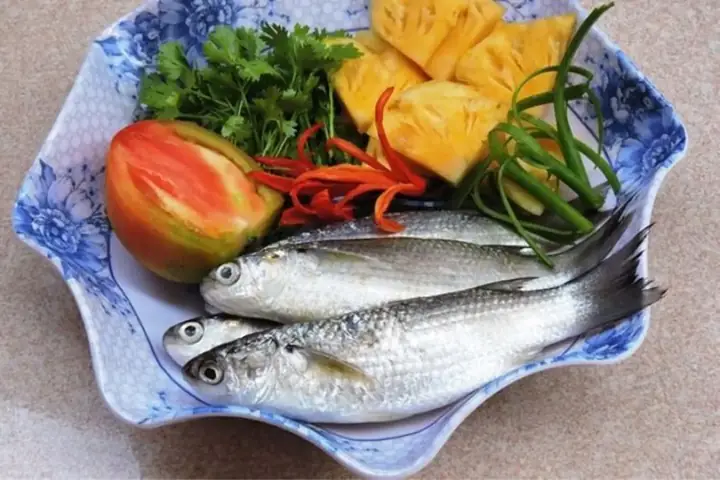 Cá Đối Là Gì? Khám Phá Đặc Điểm, Dinh Dưỡng Và Các Món Ngon Phổ Biến