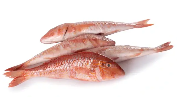 Cá Đối Tiếng Anh Là Gì? Định Nghĩa, Các Loại & Cách Dùng Chuẩn