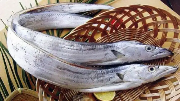 Cá Hô Là Cá Gì? Đặc Điểm, Giá Trị Dinh Dưỡng Và Các Món Ăn Ngon
