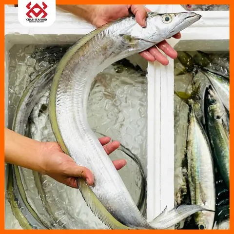 Cá Hố Mắt Vàng: Đặc Điểm, Cách Chọn Và Chế Biến Ngon