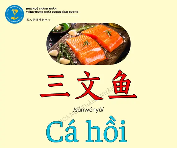 Cá Hồi Tiếng Trung: Từ Vựng & Cách Gọi Phổ Biến (鲑鱼, 三文鱼)
