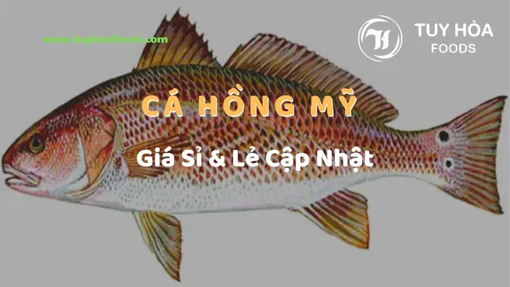 Cá Hồng Mỹ Giá Bao Nhiêu? Bảng Giá Mới Nhất & Kinh Nghiệm Mua