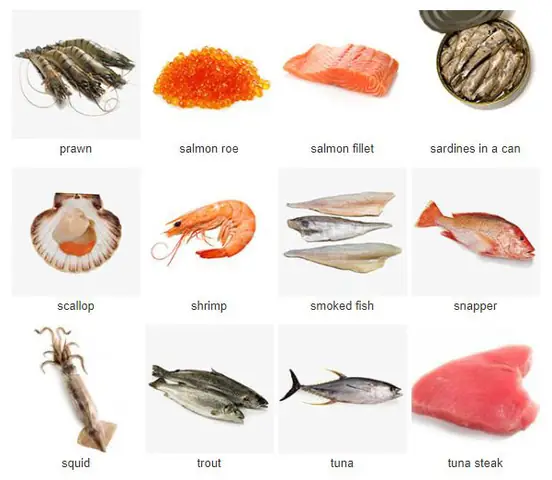 Cá Hồng Tiếng Anh Là Gì? Tên Gọi Phổ Biến & Các Loại Liên Quan