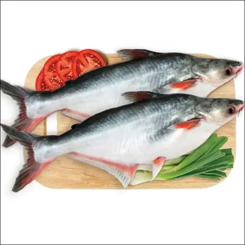 Cá Hú Là Cá Gì? Đặc Điểm, Dinh Dưỡng Và Phân Biệt Các Loại Cá Tương Tự