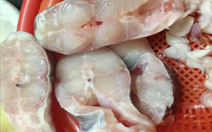 Mua Cá Hú Ngon, Uy Tín Ở Đâu? Giá Bao Nhiêu 1kg?