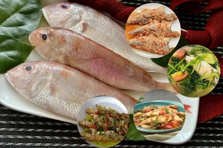 Tổng Hợp Các Món Ngon Dễ Làm Từ Cá Hường