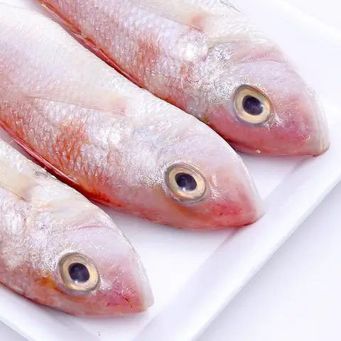 Cá Hường Nước Mặn: Đặc Điểm, Cách Chế Biến Và Món Ngon