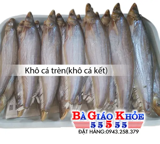 Cá Kết Và Cá Trèn: Phân Biệt Và Đặc Điểm Nhận Dạng
